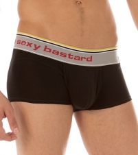 Boxer  Brief